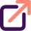 external-url-icn-dsk